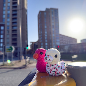 Handmade Crochet Duck Plushies – Amigurumi Mini Ducks – Cute Pocket Ducks – Soft Gift for Kids & Adults